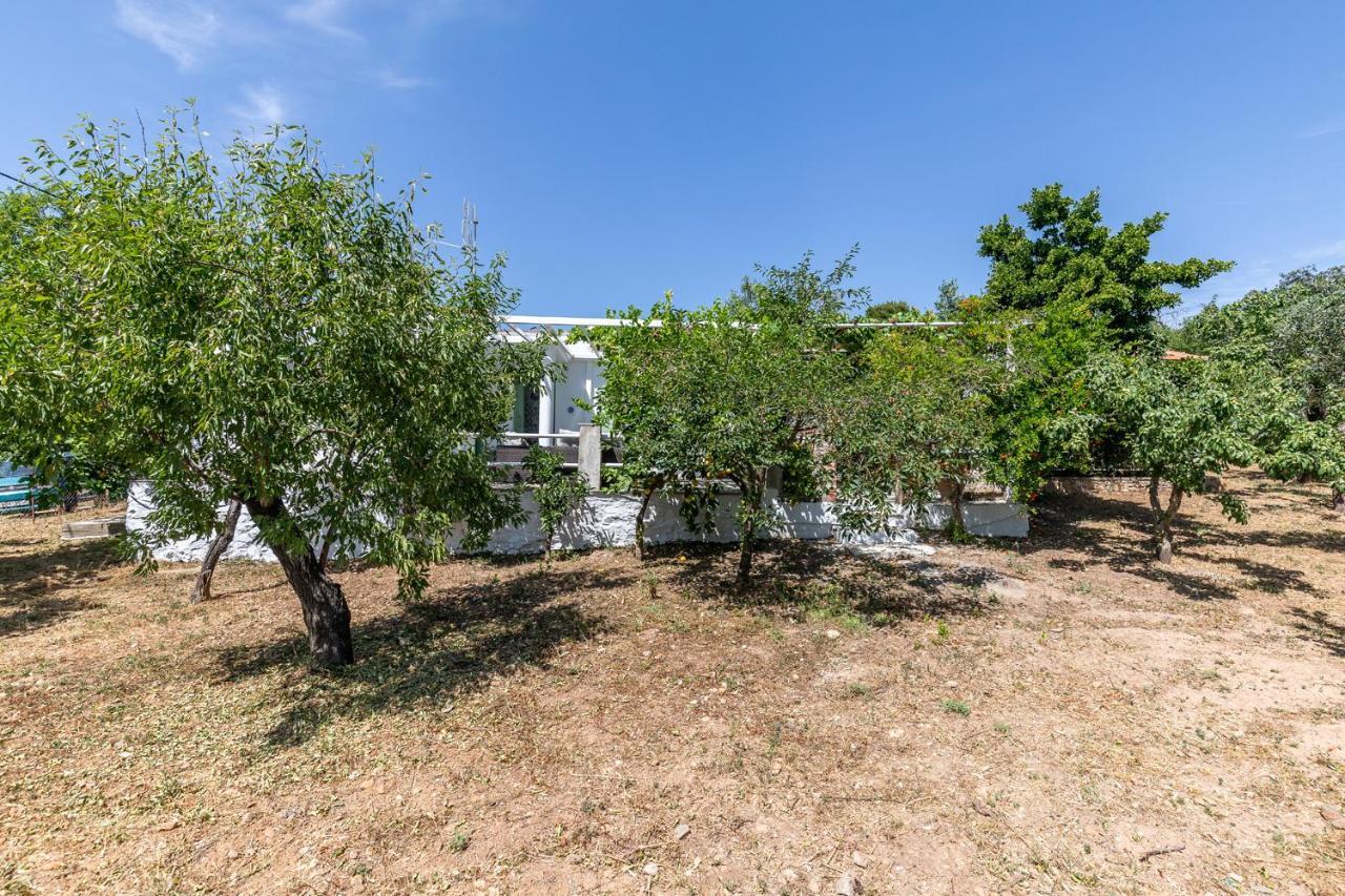 Skopelos Amigdalia Cottage Exteriör bild